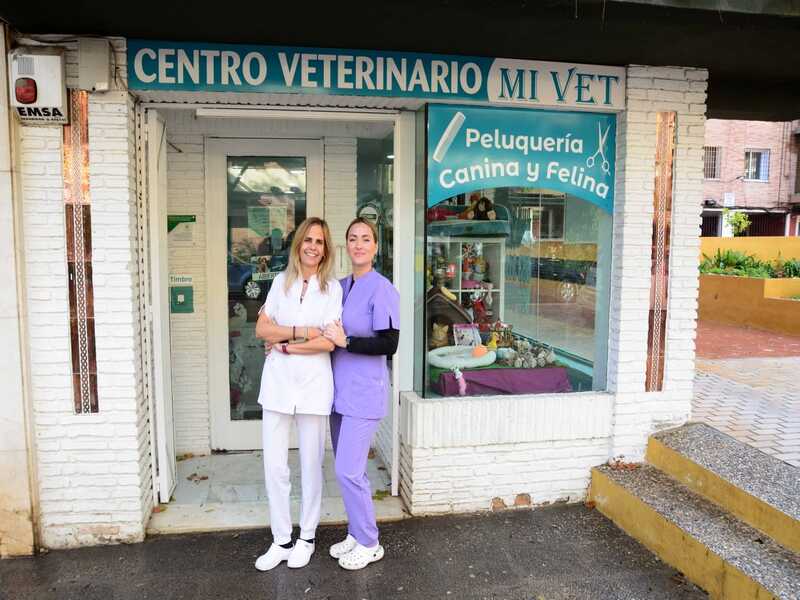 Servicios veterinarios: consultas, vacunaciones y tratamientos especializados para mascotas