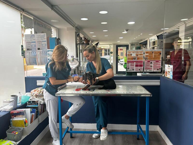 Cobertura de seguros veterinarios para mascotas - Convenios con principales aseguradoras