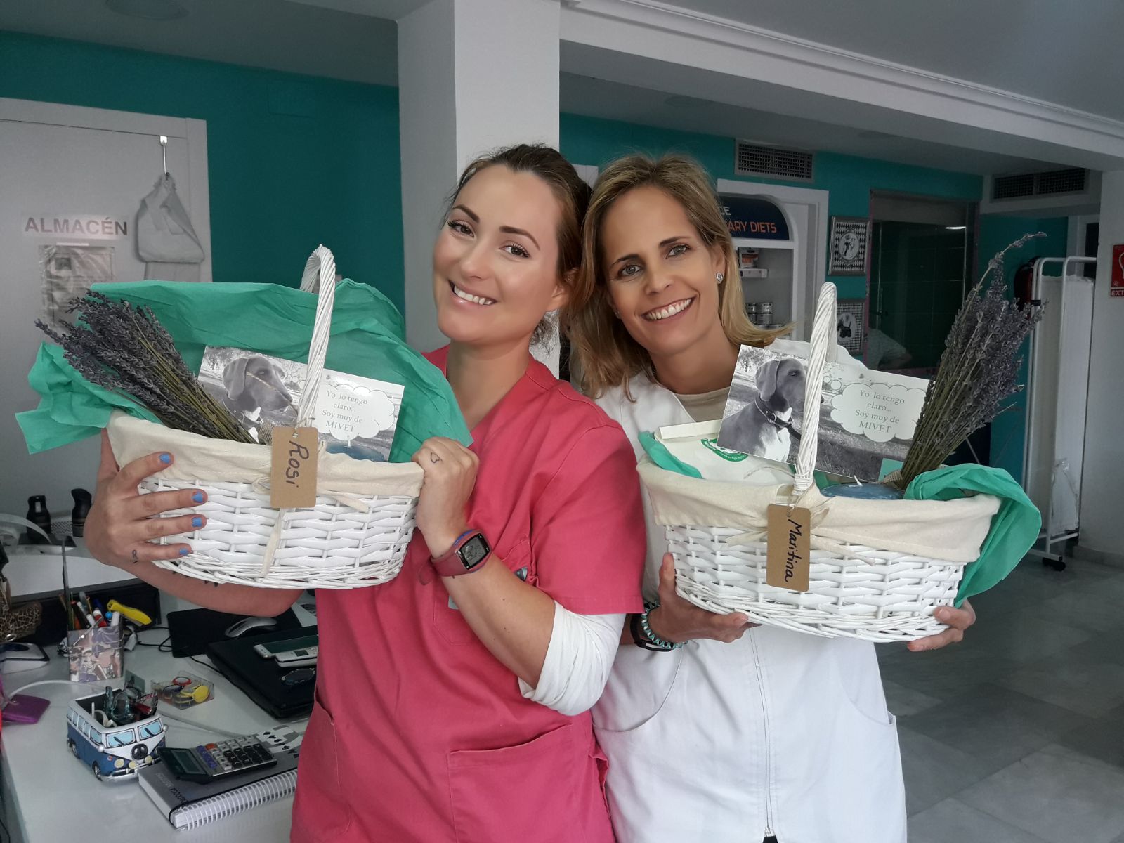 Ofertas mensuales - Promociones especiales en servicios veterinarios