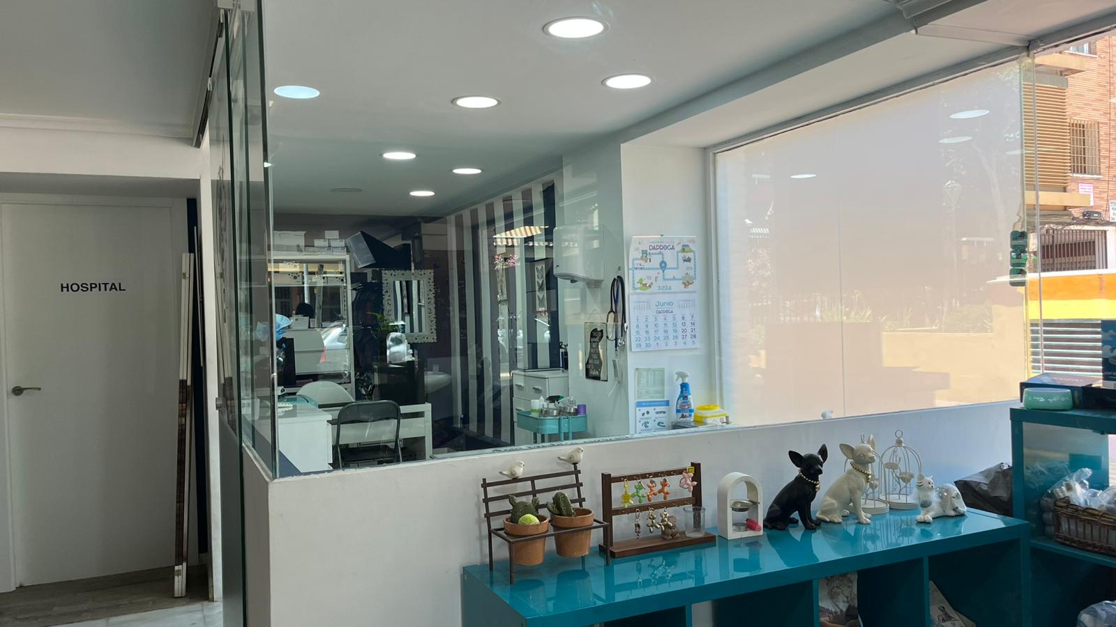 Seguros veterinarios - Cobertura de seguro para mascotas con principales aseguradoras